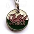 Trolley Coin Keyring - Welsh Dragon Flag