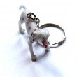 Dog Keyring