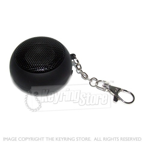 Speaker Keyring