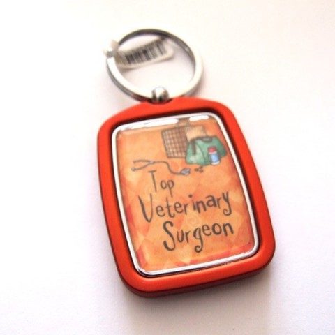 Veterinary Surgeon Keyring